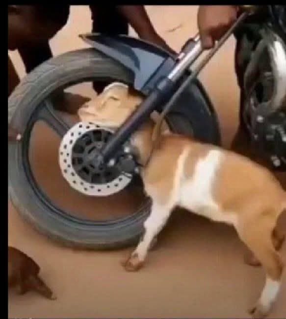 Some of you don't know the implications of directing all aspirants to purchase their nomination forms in Abuja only. Well, it only means the type of game that was played in Ogun West in 2022 won't repeat itself. 

Aspire for what you believe you can win and don't expect