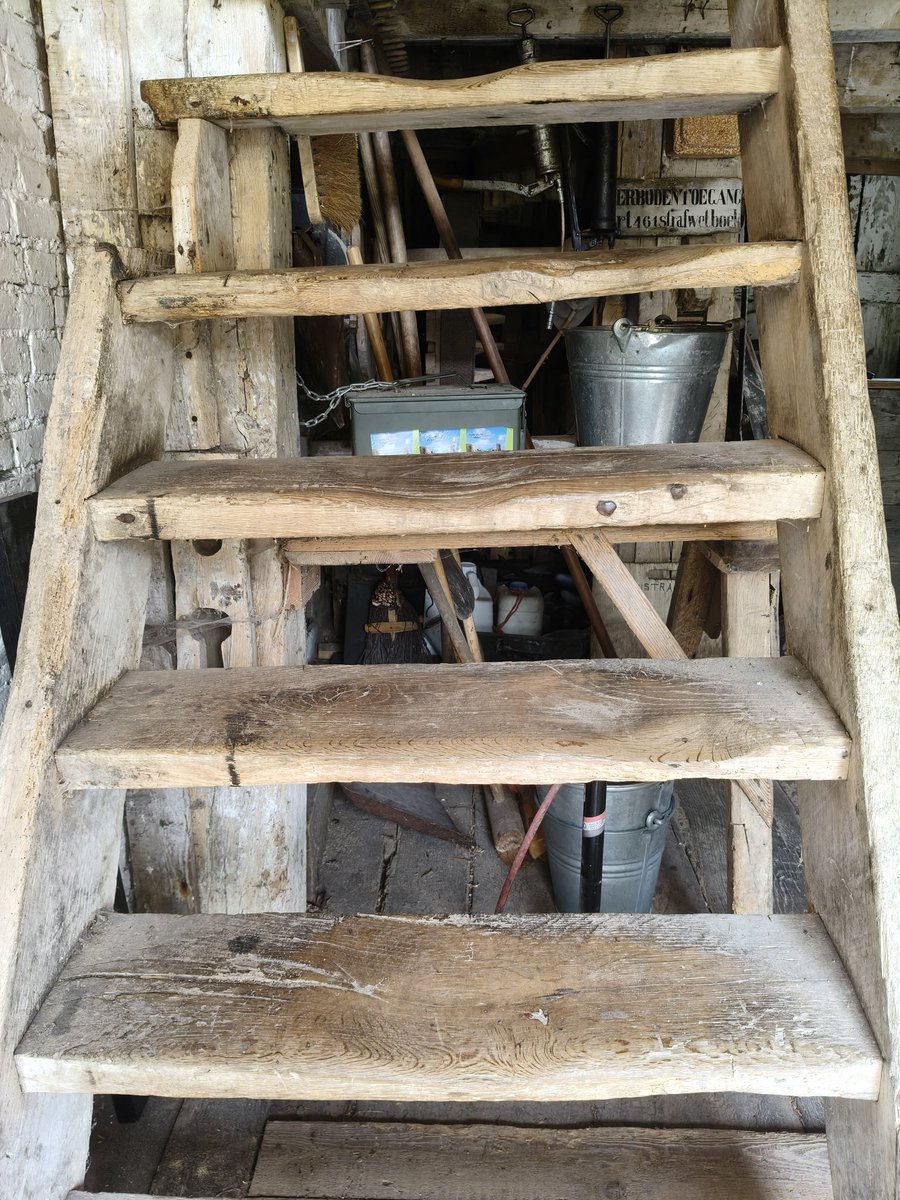 Mayke Bronkhorst tweet media