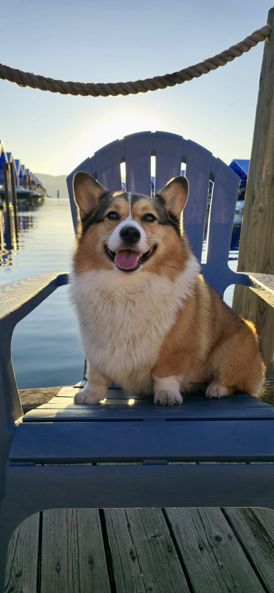 WinstonCorgiDog's tweet image. Happy Sunday Corgi Dog Winston-Family!☀️🐶✌🏻 Hope You’re All Well and Having a Wonderful Weekend Furiends!💕 Peace and Blessings💌❤️ #happy #cute #photos #sunday #corgi #dog #family #vacation #pics #sunset