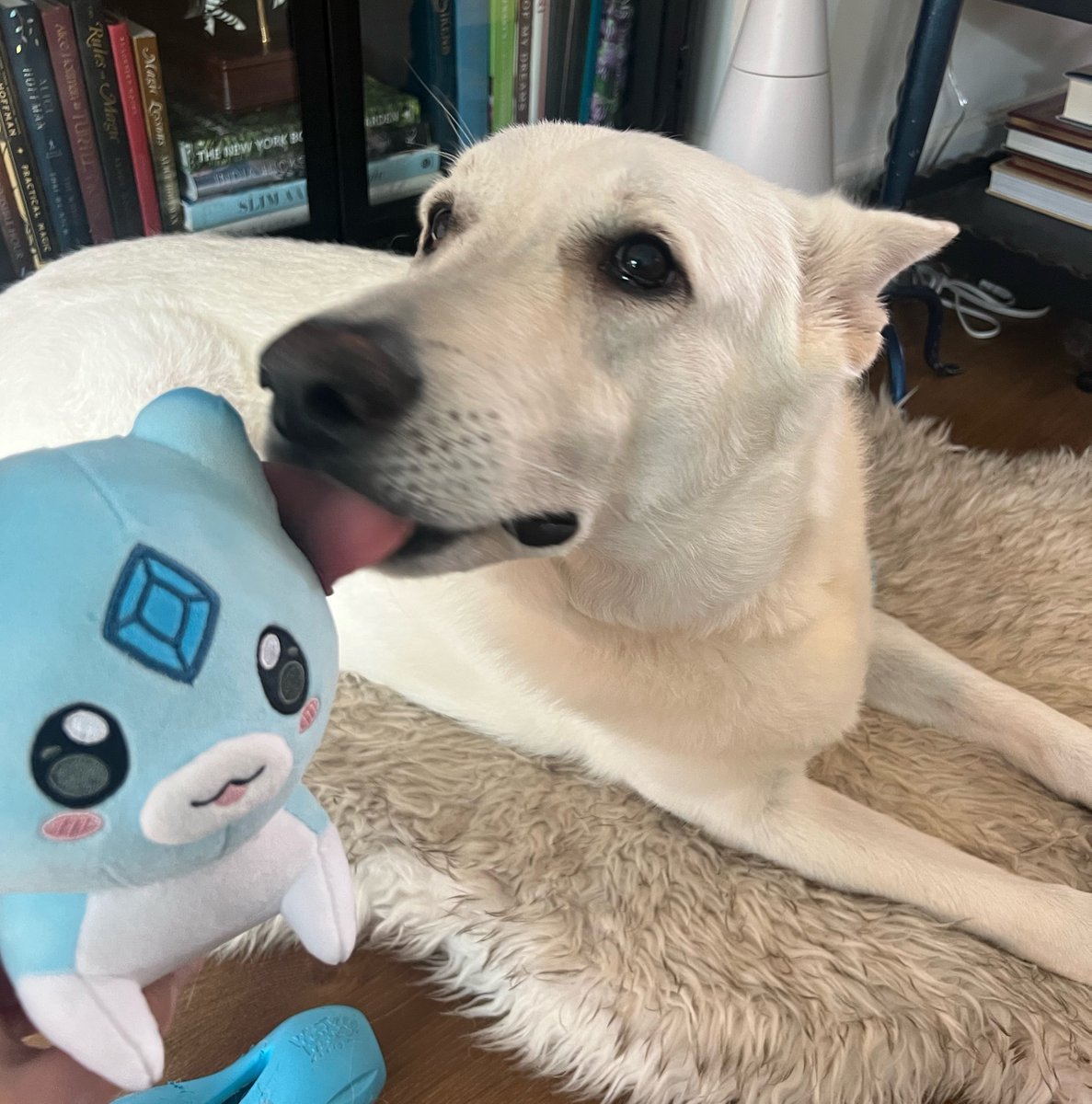 AmaLee 🦋👑 M̶̱̍ö̷̧́n̶̝͋a̷͔̓r̷̝̓c̶̼̈́h̸͕̀ tweet media