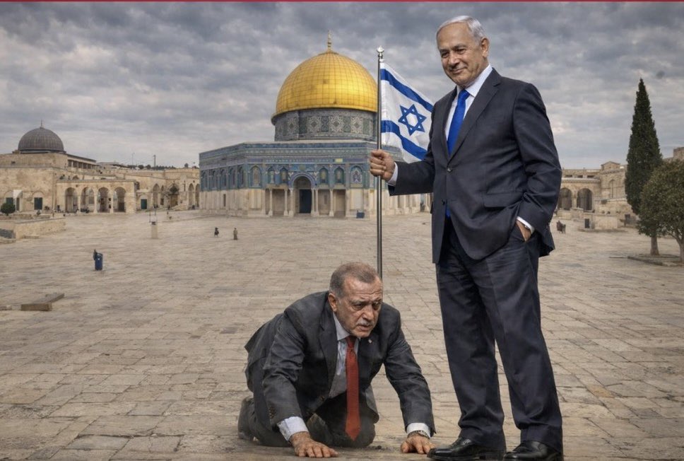 Dana Levi דנה🇮🇱🇺🇸 tweet media