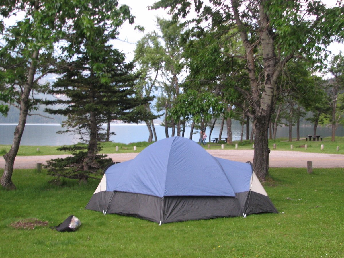 David L Matthie tweet media