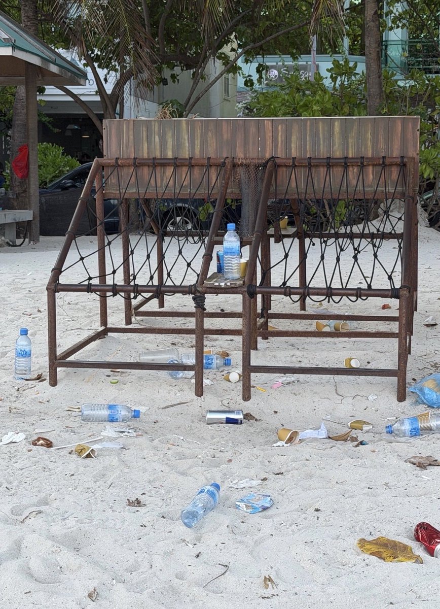 Your Mom 🇵🇸 tweet media