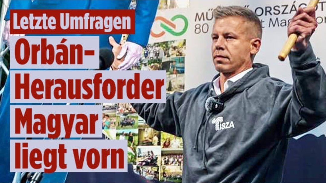 Coolnasenbaer 👊😁👍 tweet media