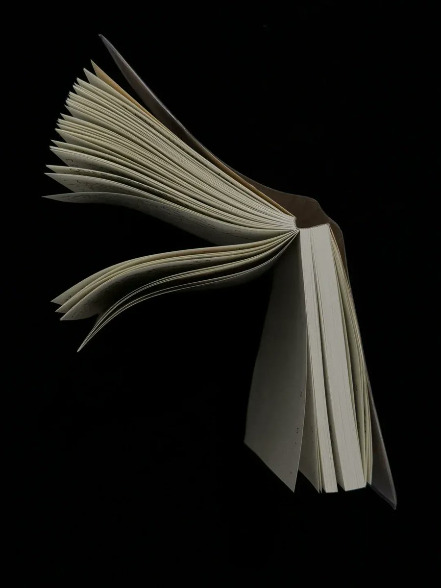 Robert Pledger tweet media