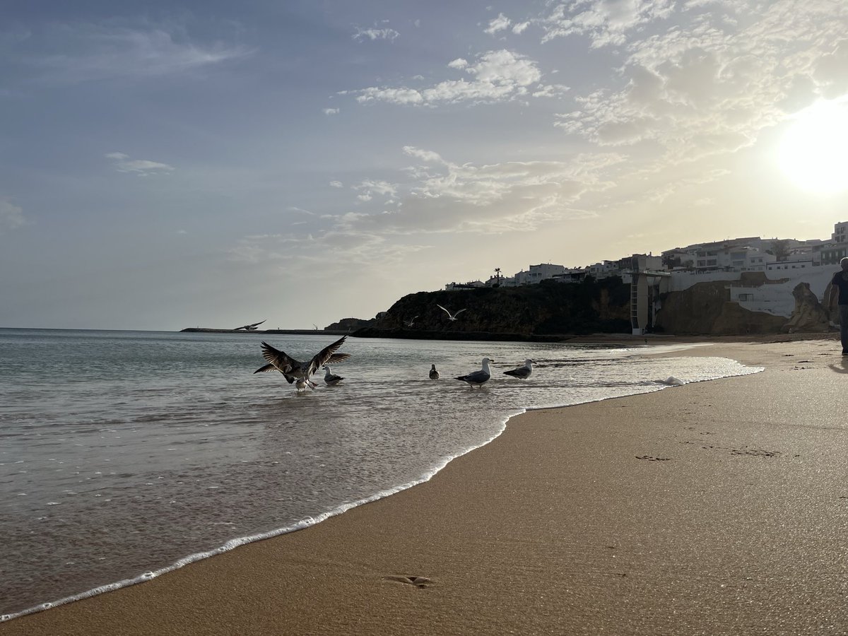 stefanverschoor's tweet photo. Albufeira 🇵🇹 https://t.co/0n2xQbmiSN
