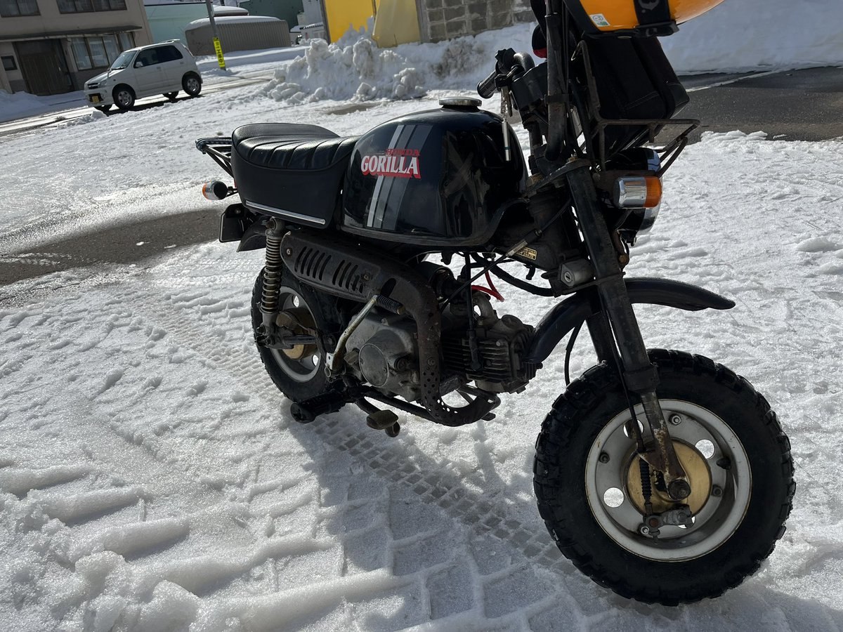 Lateral Lab.津嶋翔太 tweet media