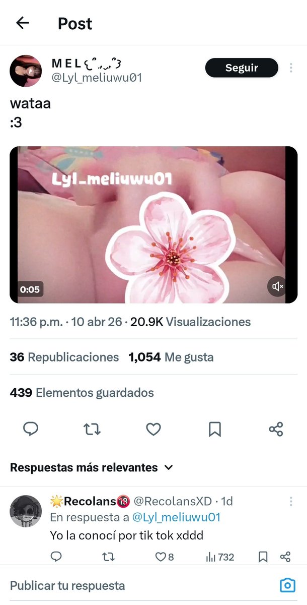 Meluwu tweet media