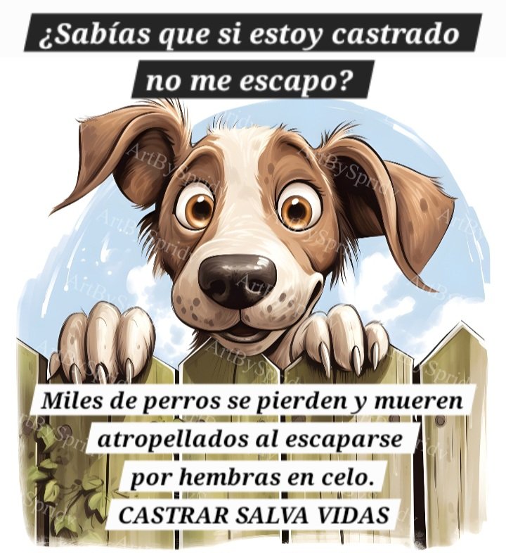 Perros de Merlo tweet media