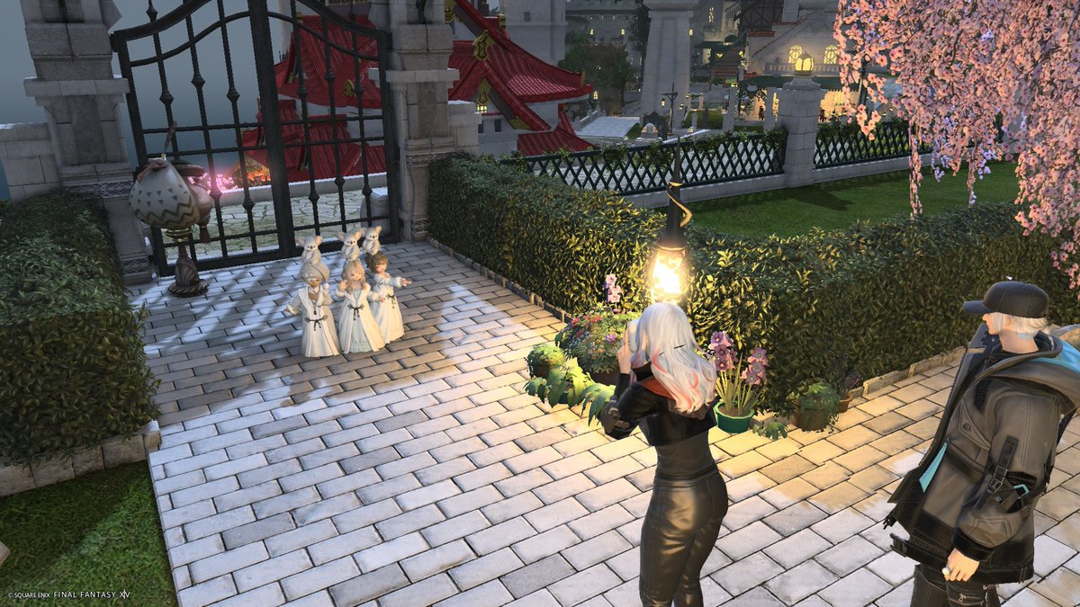 バル：F： tweet media