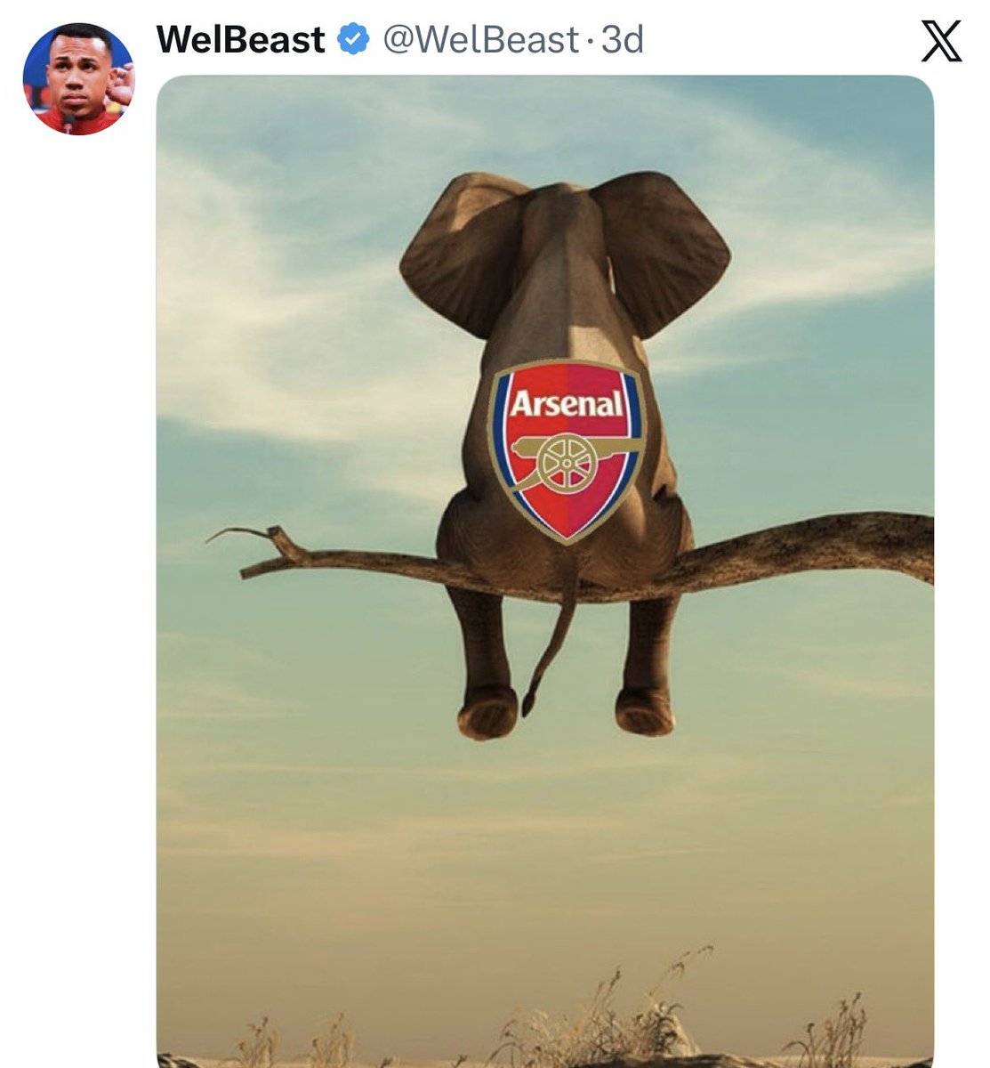 JohnnyAkog tweet media