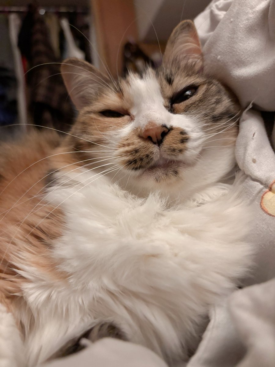 看看開喜的胸毛吧❤️‍🔥