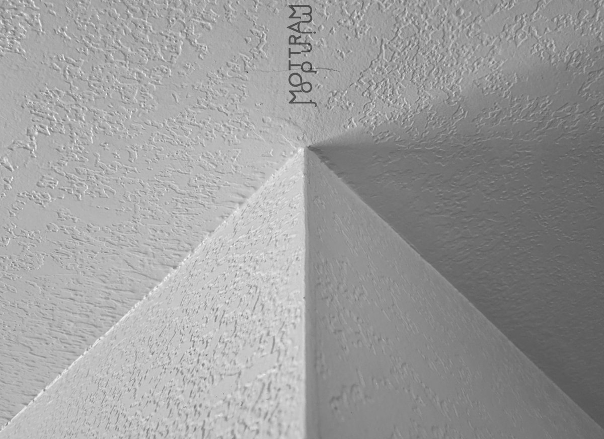 M O T T R A M tweet media