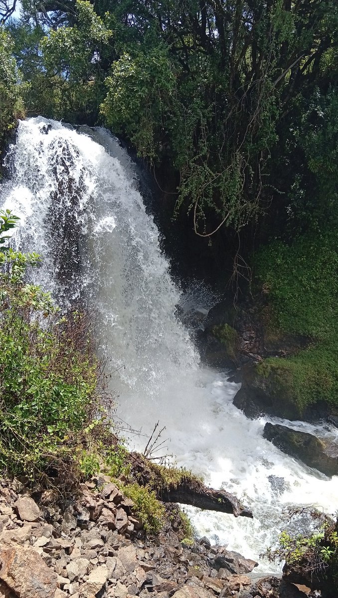 Kogei kelvin tweet media