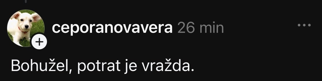 Jiří Hrebenar tweet media