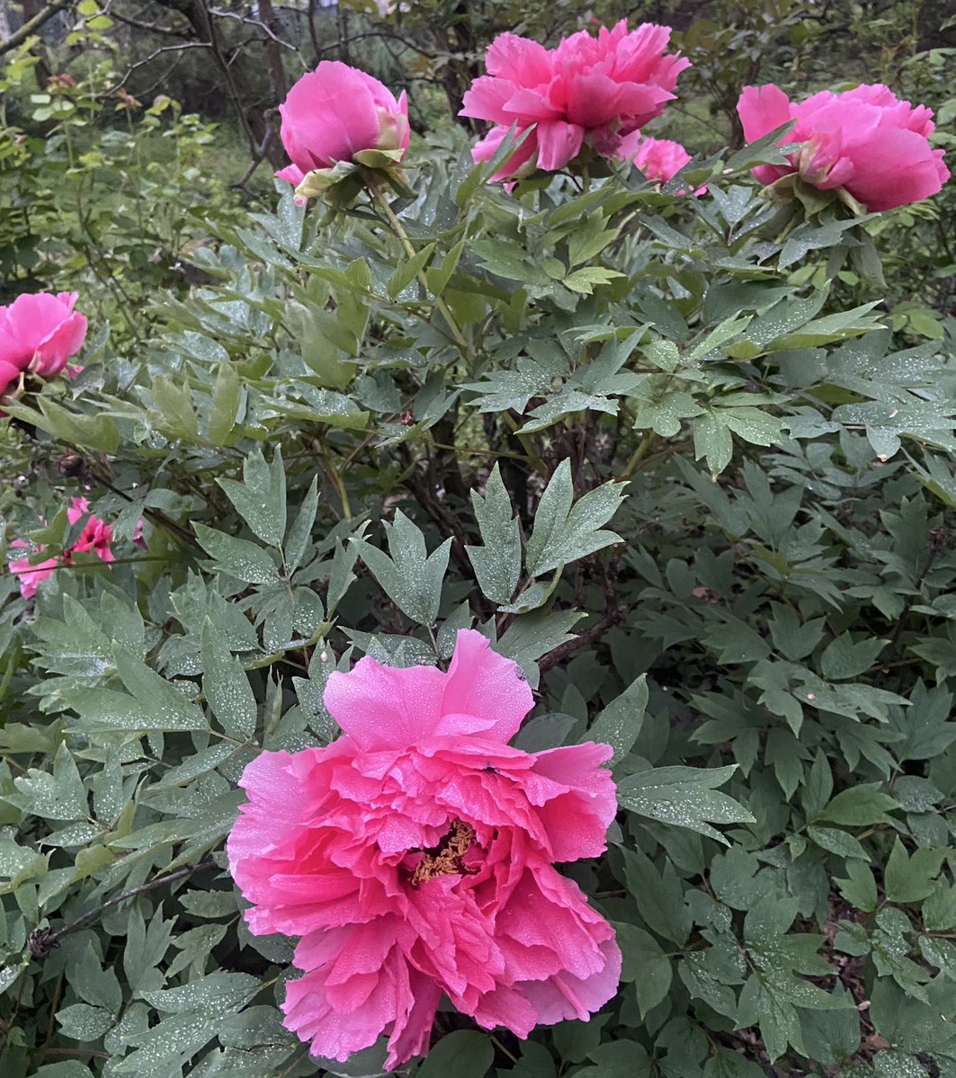 Mary 🜃 tweet media