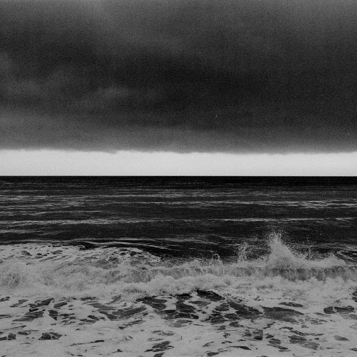 Lumineers tweet media