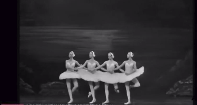 DG MEME 🇪🇺 tweet media