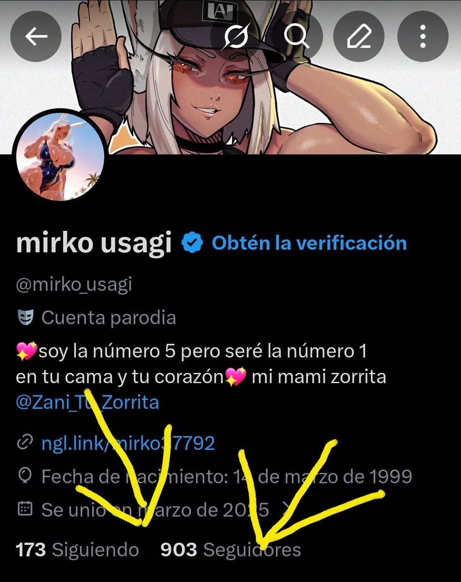 mirko usagi tweet media