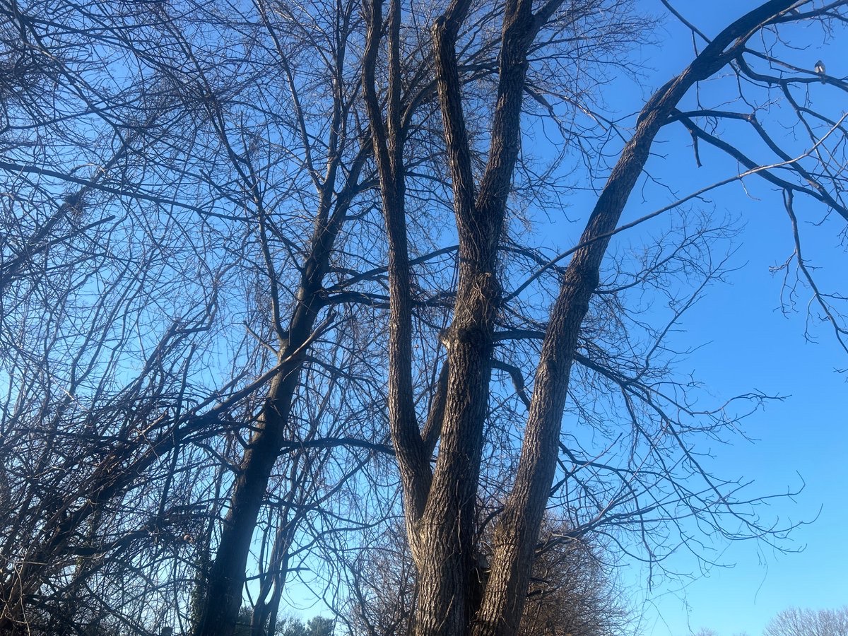 Derek (check pinned) tweet media