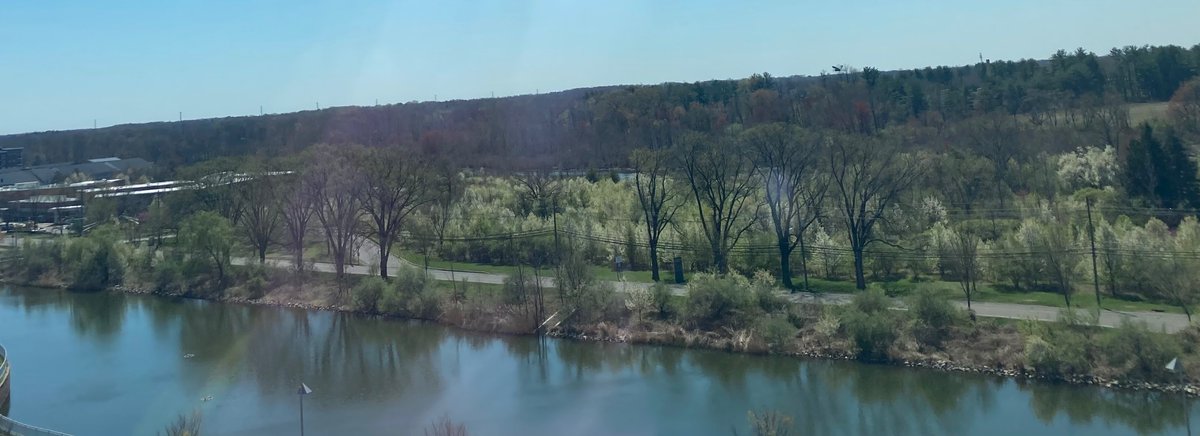 🌲 ⛄️Joe Sapia ⛄️ 🛷 tweet media