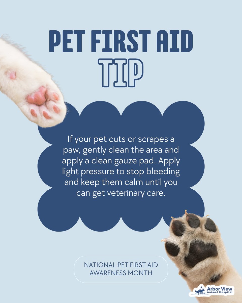 ArborViewAH's tweet photo. Paw injuries are common, but quick first aid helps your furry friend feel better fast! 🐾

Clean the cut, apply gentle pressure with gauze, and keep your pet calm. Contact your veterinarian if bleeding doesn’t stop or if you notice swelling or limping.

#PetSafety https://t.co/7krJcmFsQo