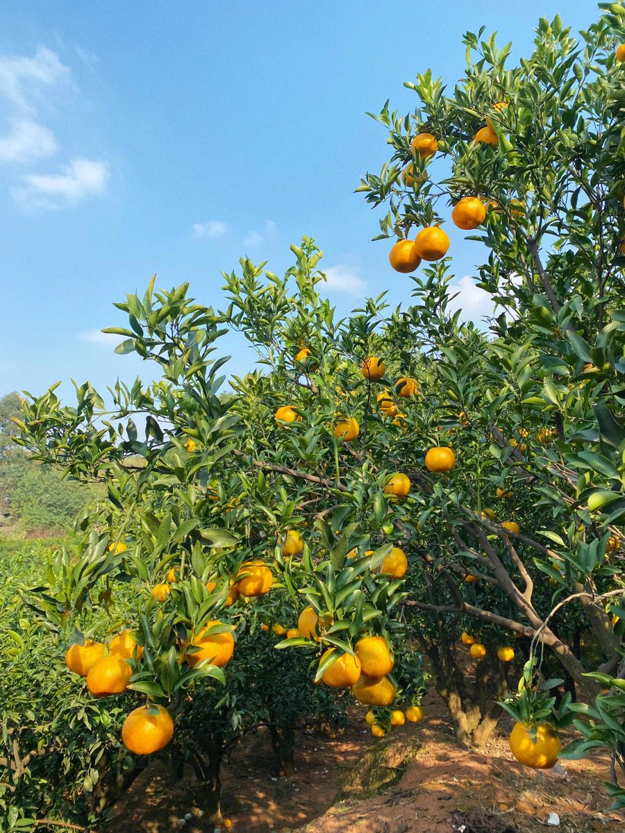 HR Smith tweet media