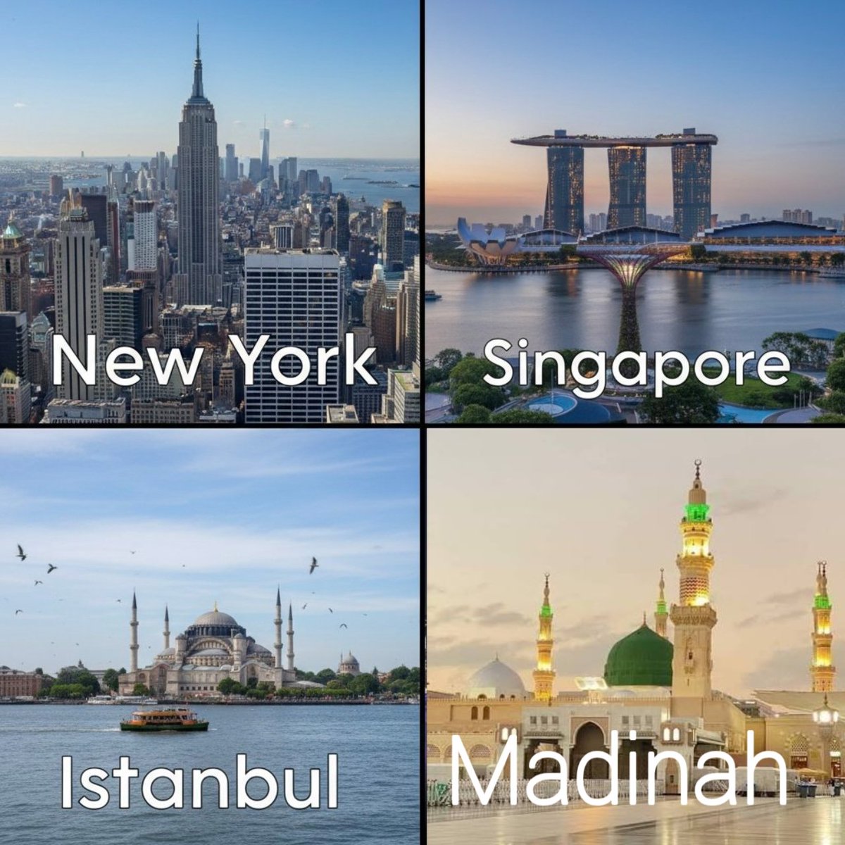 Hania Batool tweet media