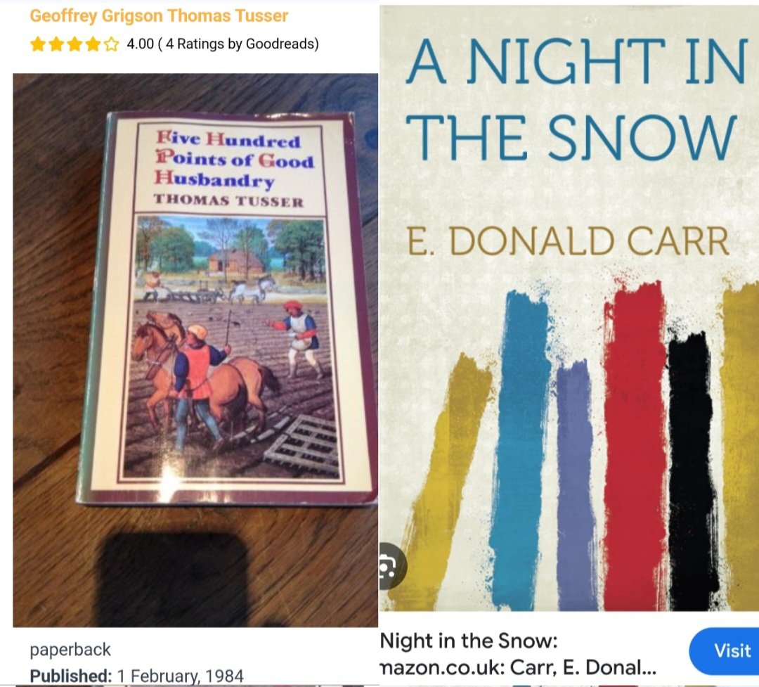 Little fish in a big XRPond 🏴‍☠️ tweet media