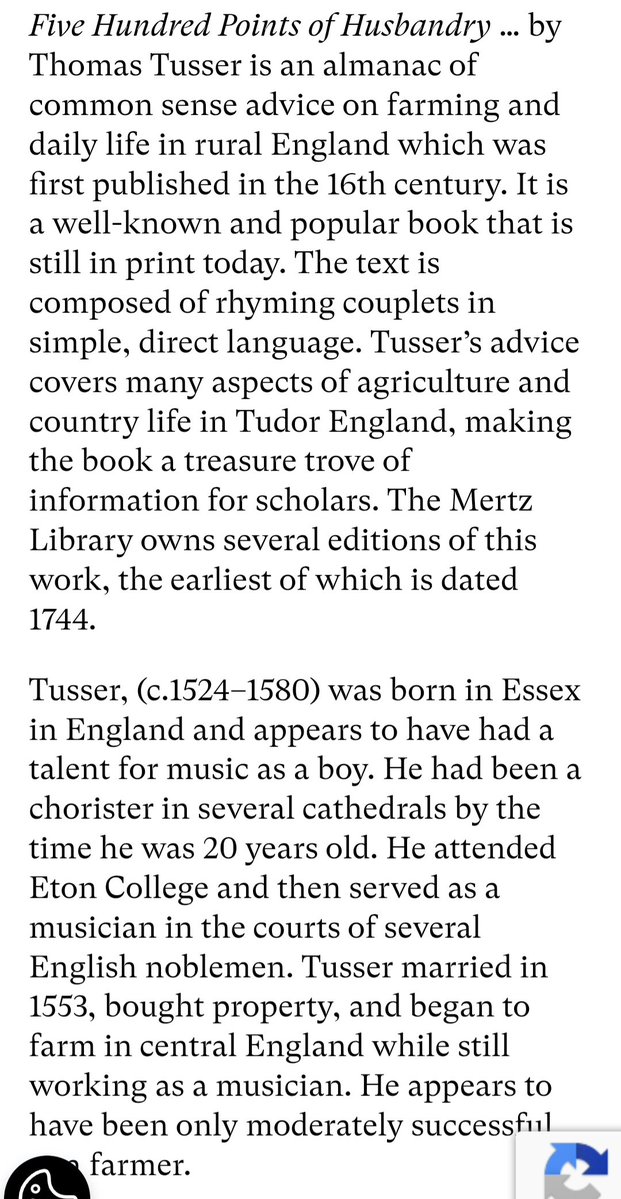 Little fish in a big XRPond 🏴‍☠️ tweet media