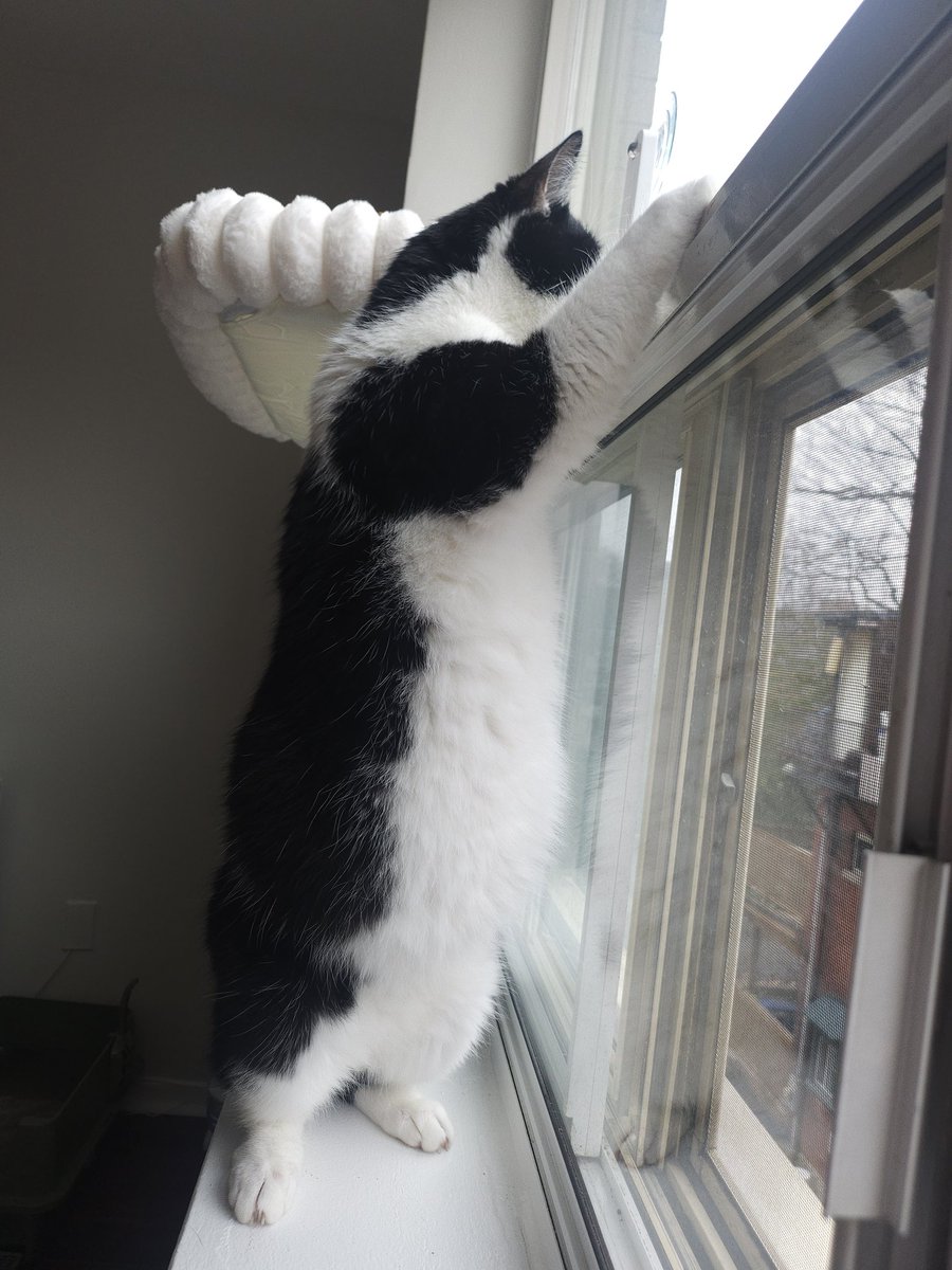 × k e l w y n × tweet media