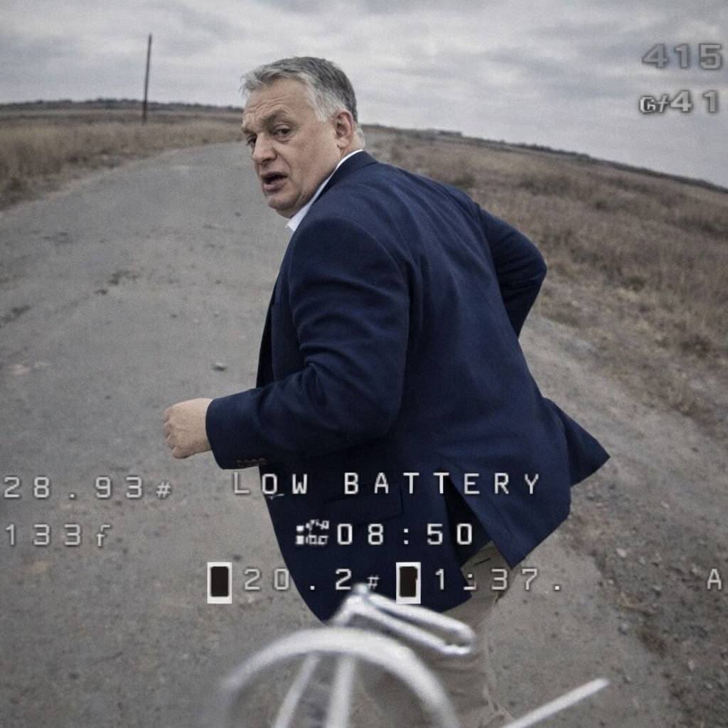 Aurora Borealis 🤫 tweet media