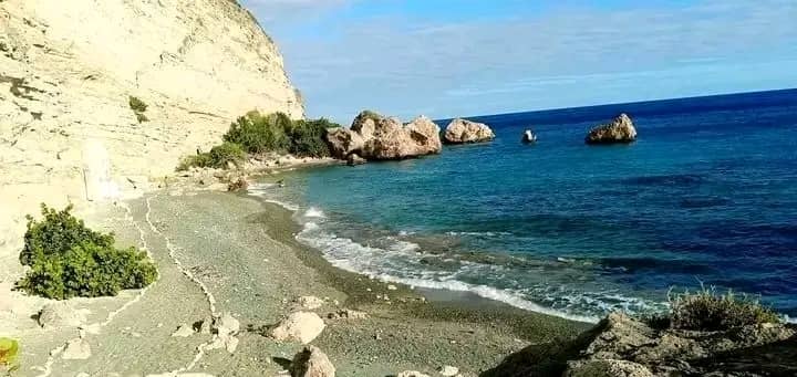 El Bosque Martiano, poblado de árboles y arbustos mencionados por el maestro en su Diario de Campaña, es un empeño de profunda raíz martiana que florece cada dia en Cajobabo. El nuevo árbol plantado este 11 de abril es nuestro compromiso con el futuro.
#MartíVive