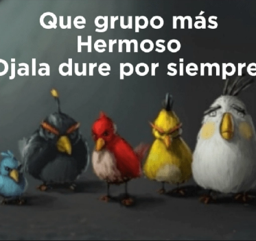 Aroa tweet media