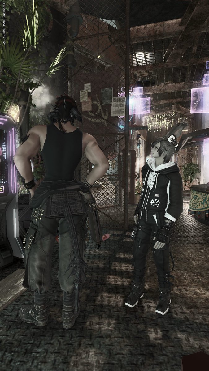 バル：F： tweet media