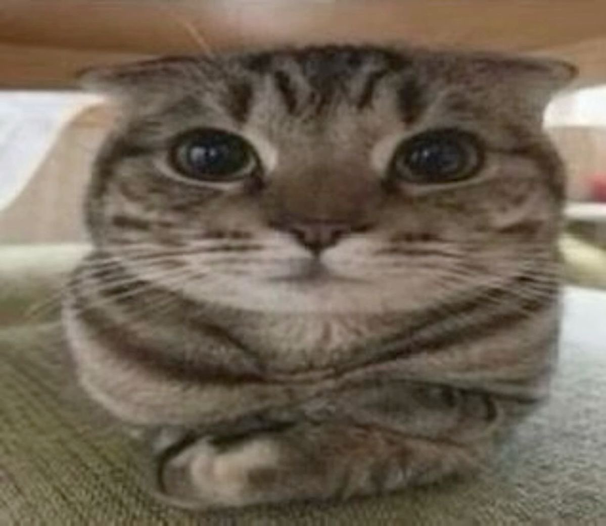 Ი⑅𐑼 tweet media