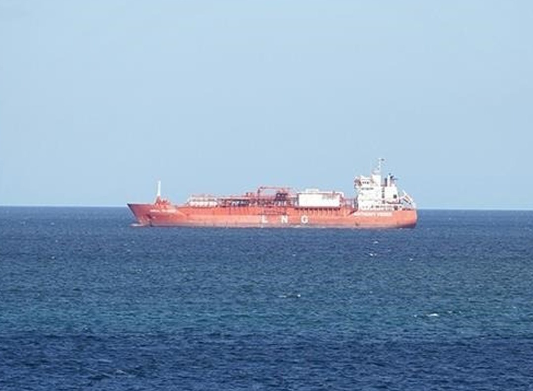 𝐙𝐨𝐲𝐚 𝐒𝐡𝐞𝐢𝐤𝐡 tweet media