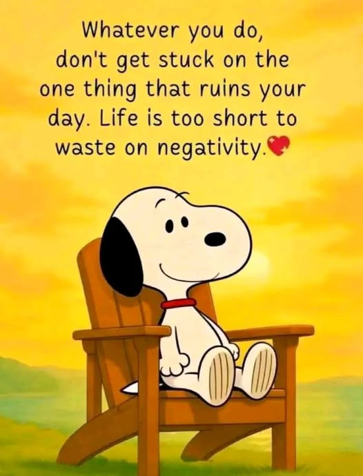 Troy Bentley tweet media