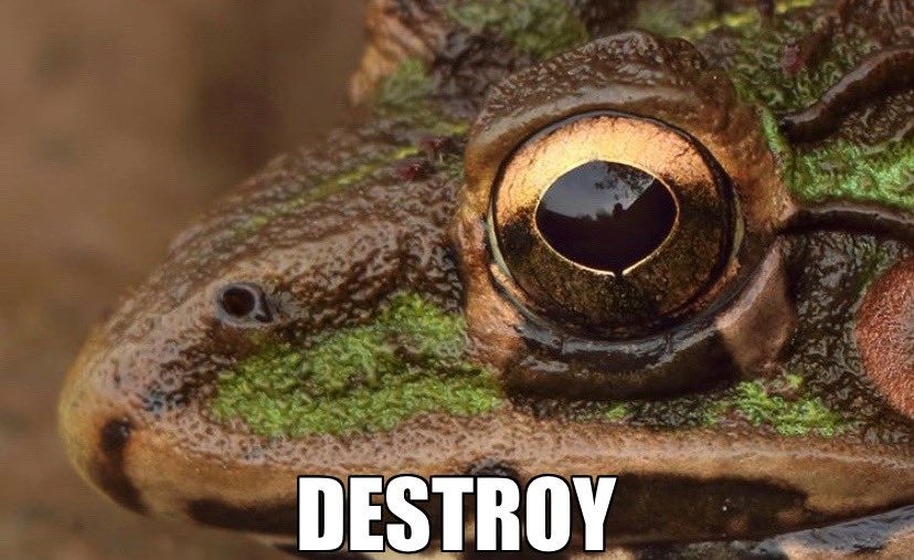 OperationFreedom tweet media