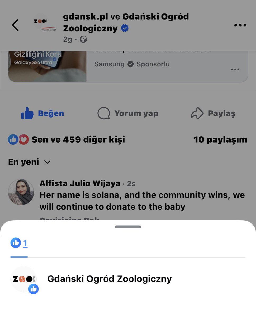 Selim Kecelioglu tweet media