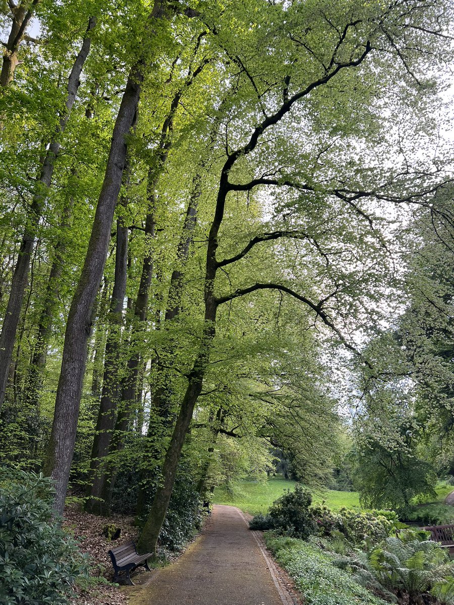 Youss 🇹🇳 tweet media