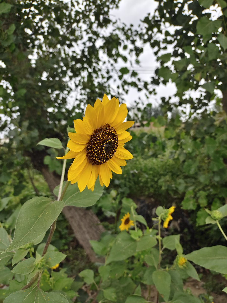 Madeline G. Thompson tweet media