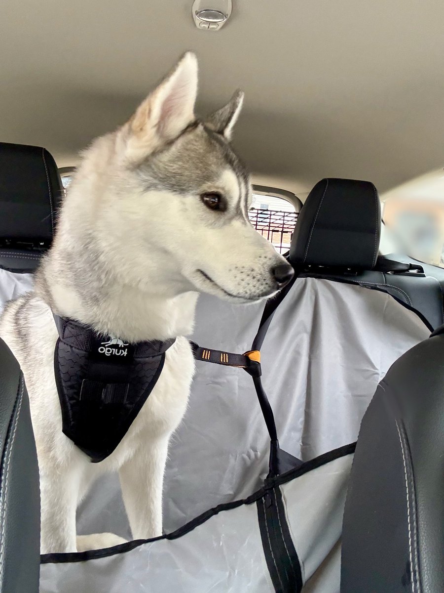 Integrity tweet media