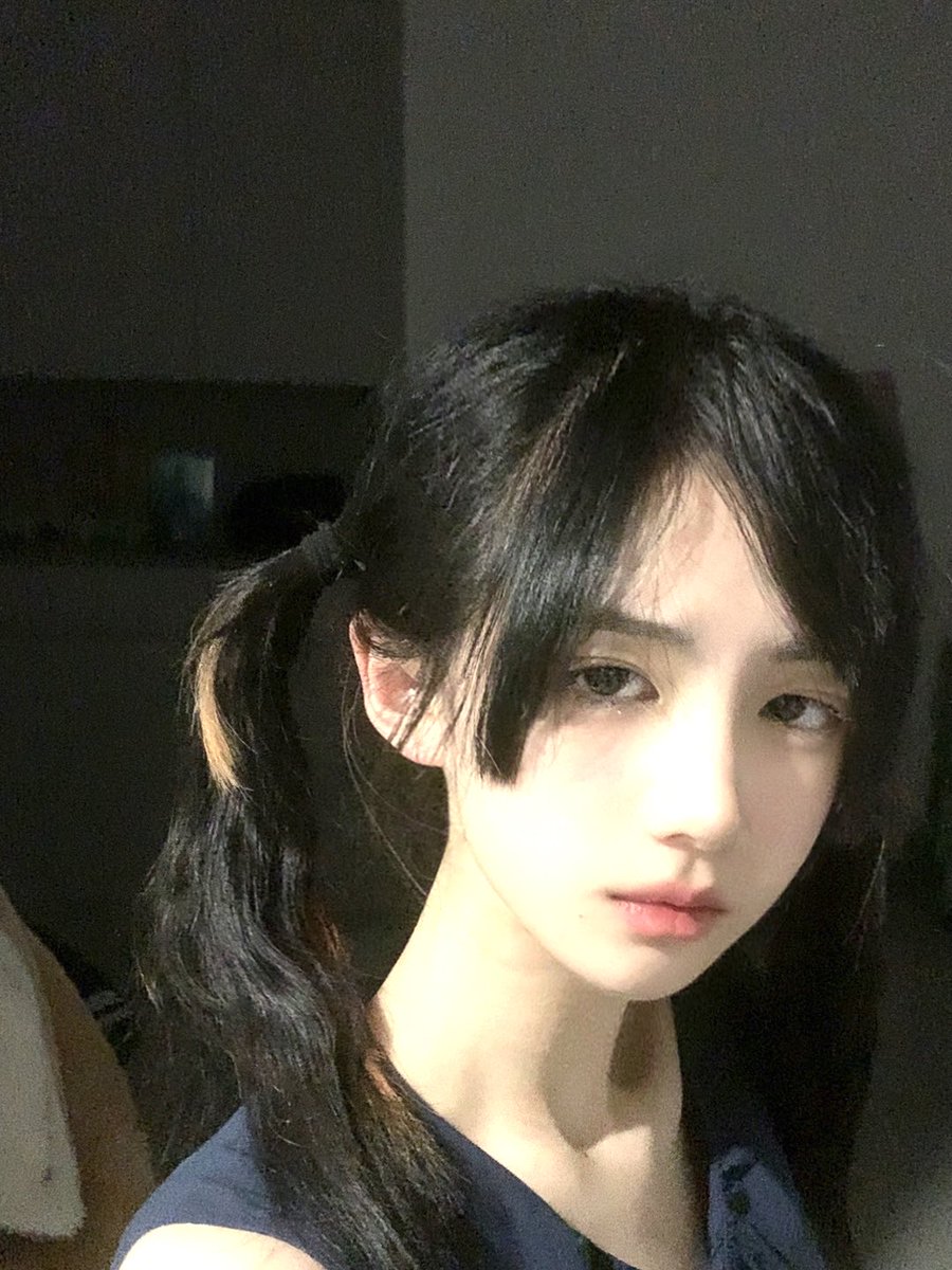 卧龙猫 tweet media