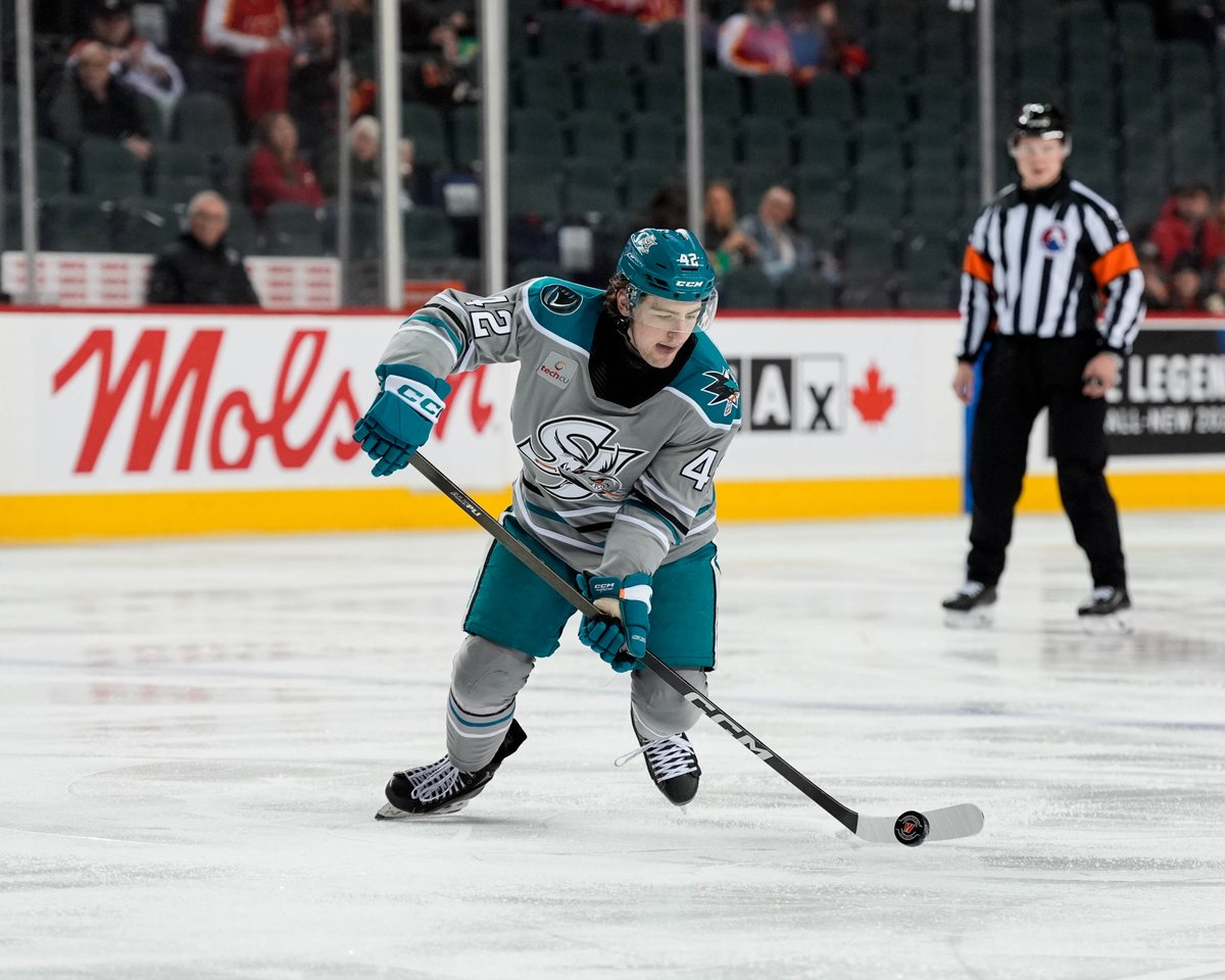 SJ Barracuda tweet media