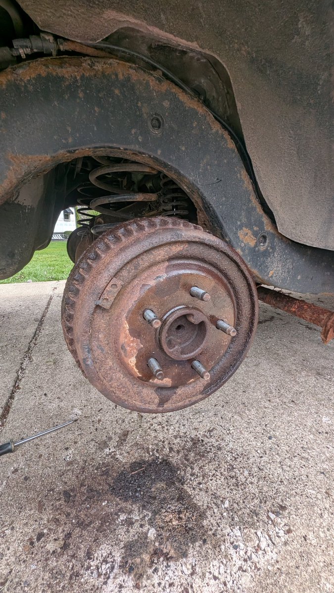 Local Moron tweet media