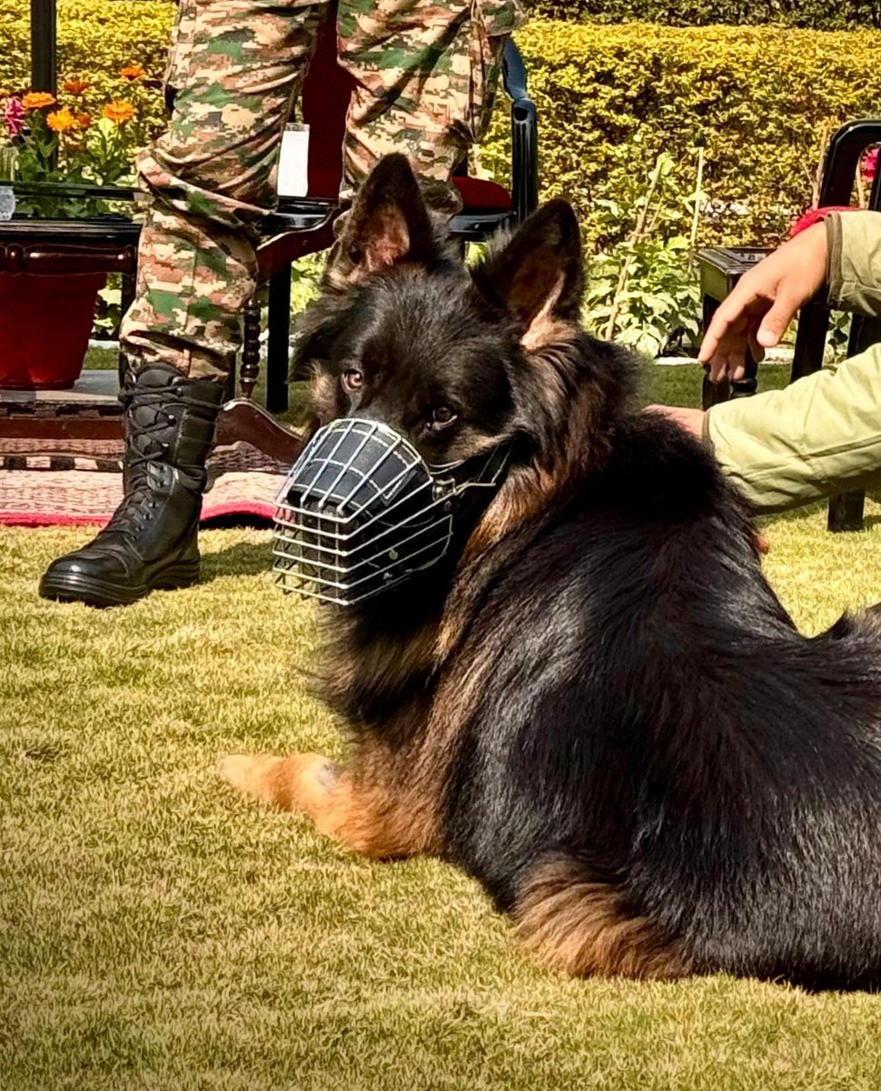 HocusPocusPizza tweet media