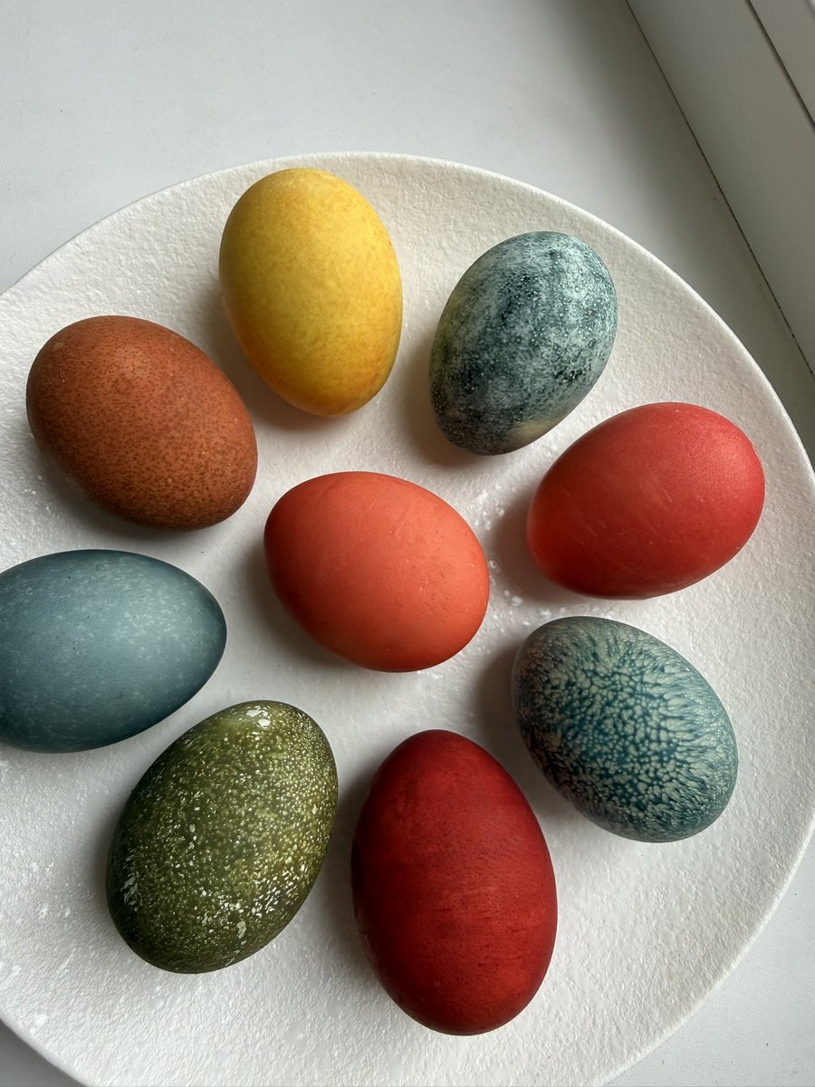 Госпожа из криокамеры tweet media