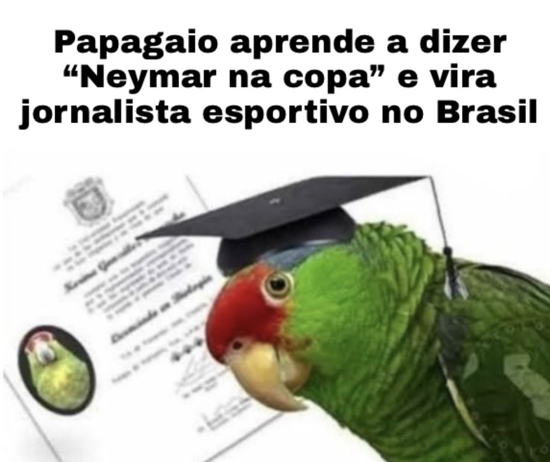 Rafael, um socialista de iPhone tweet media