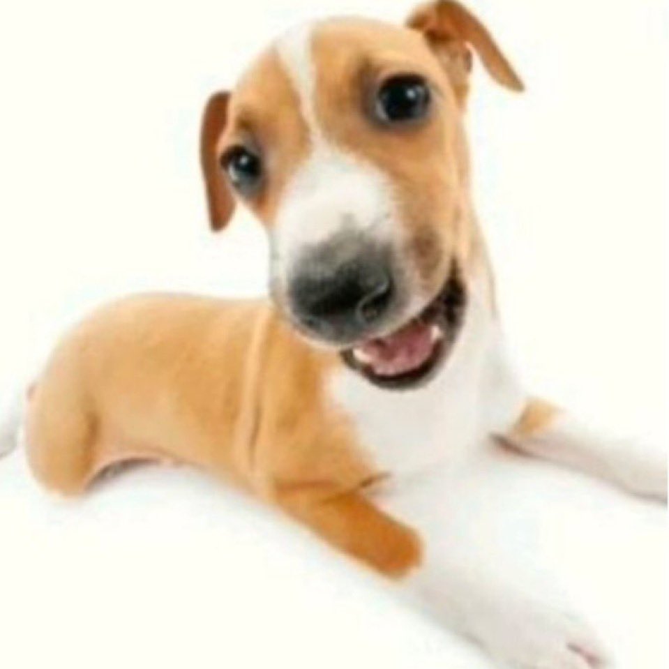 mandsโท do jimin ๐ชญ tweet media